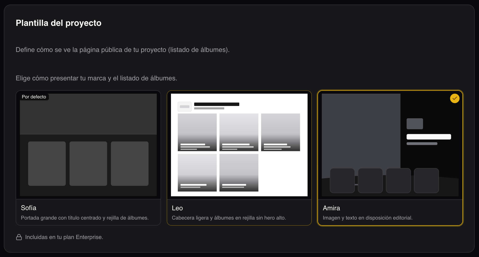 Plantillas de diseño para galerías y portfolio de fotógrafo en Ftens